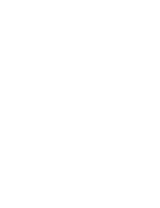 BigBlocks Logo